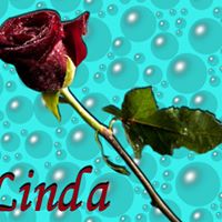 Linda Langston Photo 13