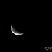 Joyce Moon Photo 37