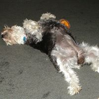 Cathy Dilley Photo 1