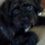 Paula Griggs Photo 6