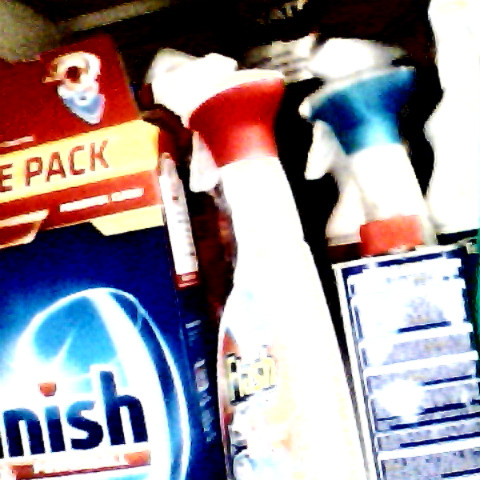 Sally Lynch Photo 18