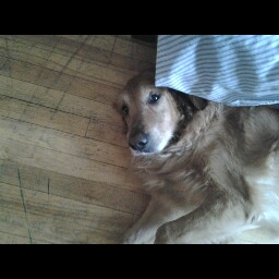 Sarah Jeffers Photo 17