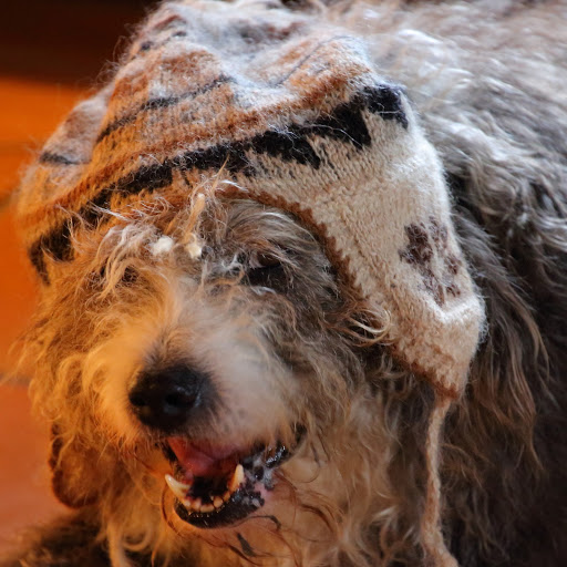 Samuel Holmes Photo 22