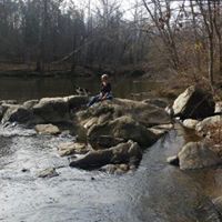 Michele Derose Photo 6