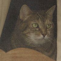 Tracy Caswell Photo 15