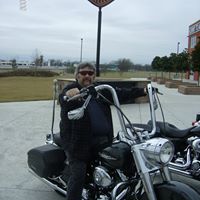 Michael Stout Photo 39 Michael Stout Photo 39