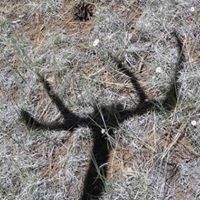 Kenneth Linck Photo 2