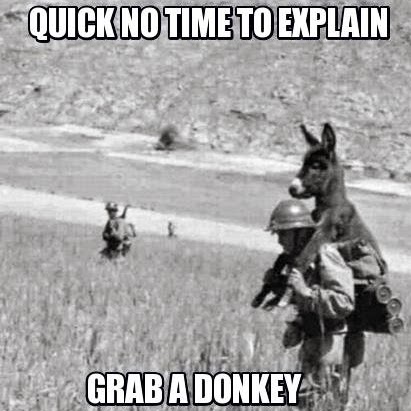 Michael Stafford Photo 35 Michael Stafford Photo 35