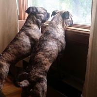 Terri Graham Photo 21