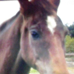 Amy Donaldson Photo 7