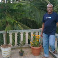 Jerry George Photo 22