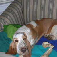 Theresa Carr Photo 13