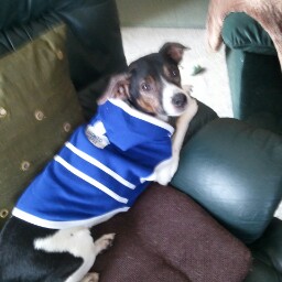 Denise Cameron Photo 26