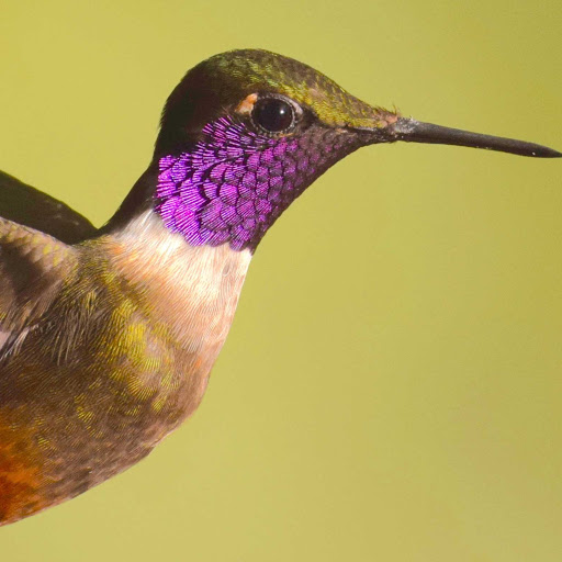 Michael Shoop Photo 16