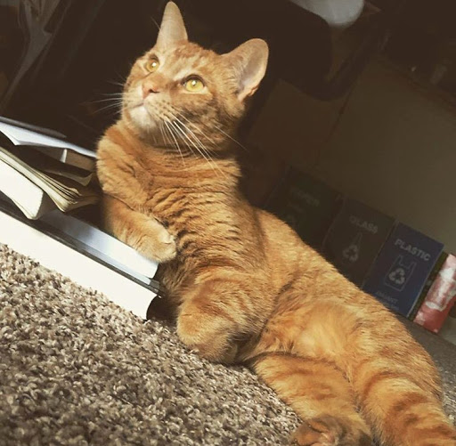 Jared Graham Photo 28