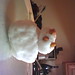 Jenny Bonner Photo 16