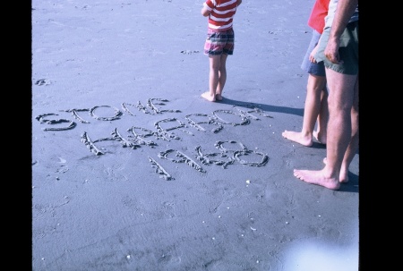 Sally Snyder Photo 22