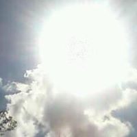 Cheryl Sheffield Photo 16