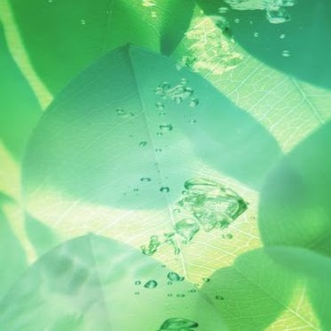 Tony Edwards Photo 33