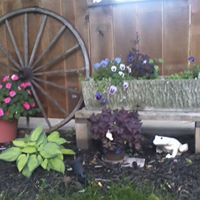 Colleen Lawrence Photo 27