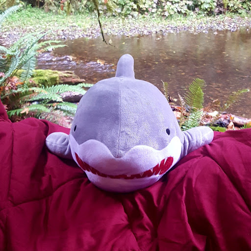 Ann Perkins Photo 37