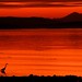 Dawn Hughes Photo 37