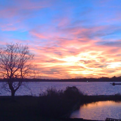 Julia Glass Photo 19