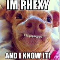 Teri Graham Photo 30