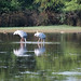 Sara Stocker Photo 14