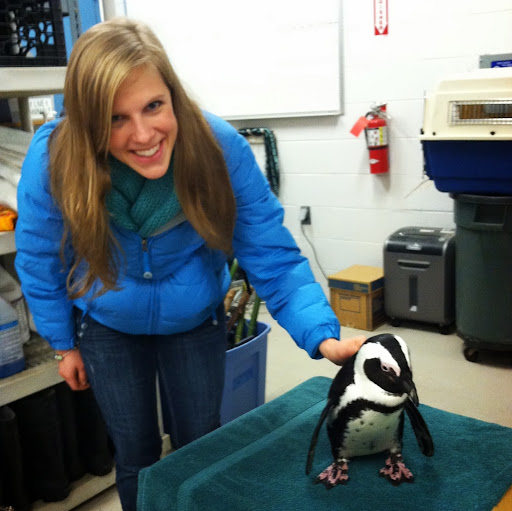 Katie Vaughan Photo 40