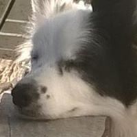 Sarah Worthington Photo 21