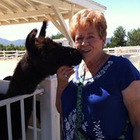 Mildred Kelley Photo 8