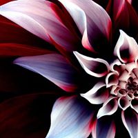 Jared Barker Photo 11