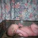 Alexander Davis Photo 19