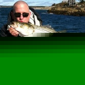 Andrew Glover Photo 37