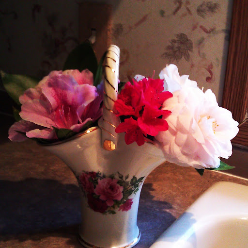 Sue Lemke Photo 22
