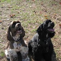 Christine Goldman Photo 6