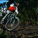 Matthew Fraser Photo 16