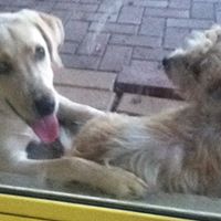 Misty Allen Photo 20