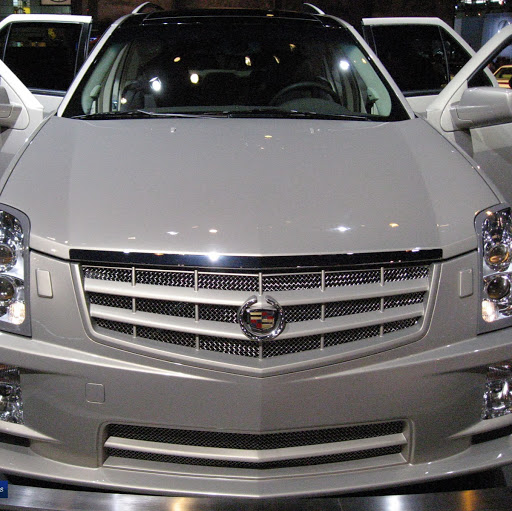 Cynthia Estrada Photo 42