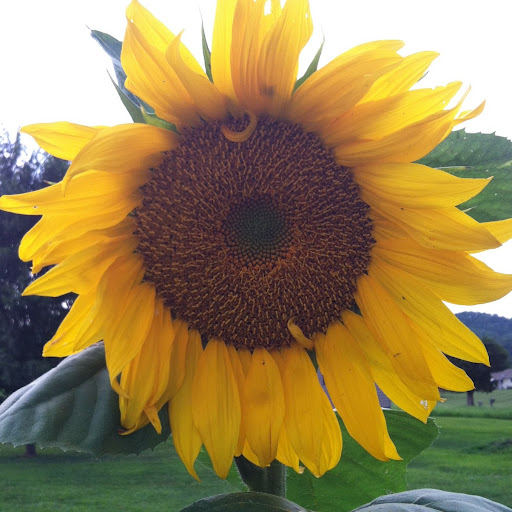 Crystal Griffith Photo 3