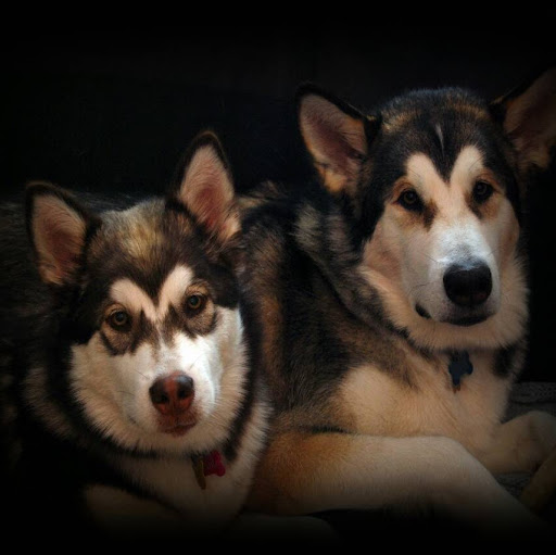 Stephanie Mayfield Photo 32