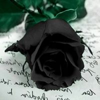 Tracy Philip Photo 19