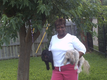 Dorothy Stewart Photo 20