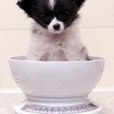 Claudia Small Photo 15