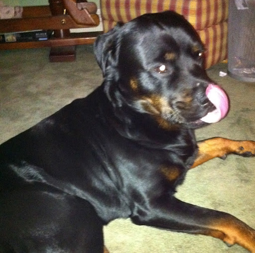 Phil Jenkins Photo 9 Phil Jenkins Photo 9