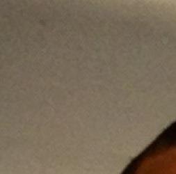 David Malkin Photo 33 David Malkin Photo 33