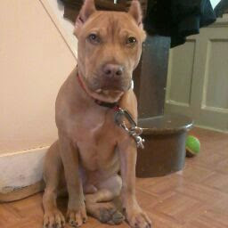 Theodore Berry Photo 29 Theodore Berry Photo 29