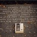 Joyce Stone Photo 36