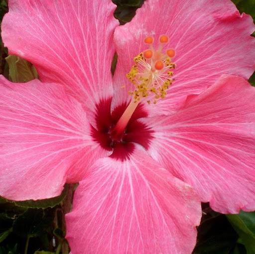 Kelsey Mccarthy Photo 23